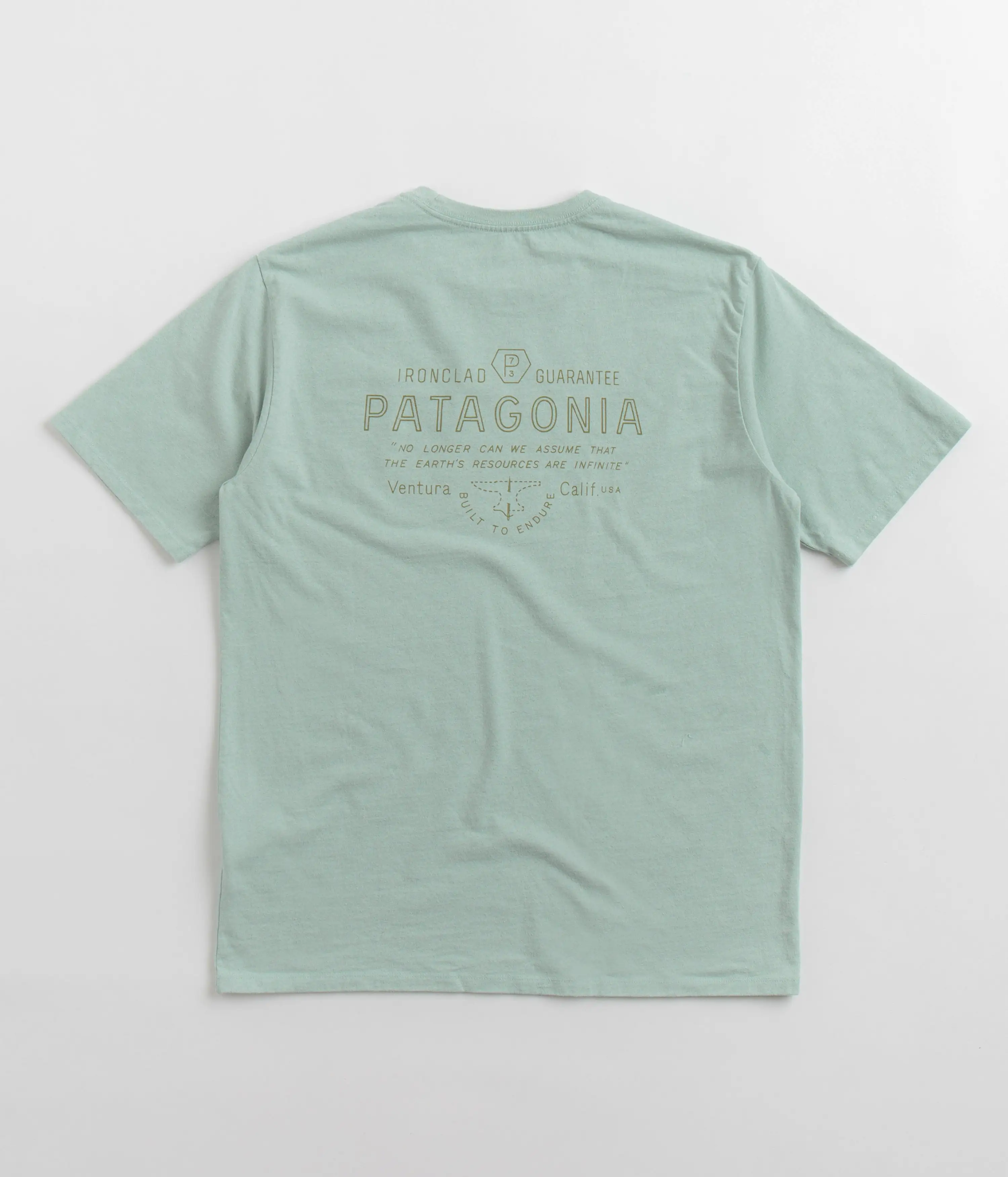 Patagonia Forge Mark Responsibili-Tee T-Shirt - Wispy Green