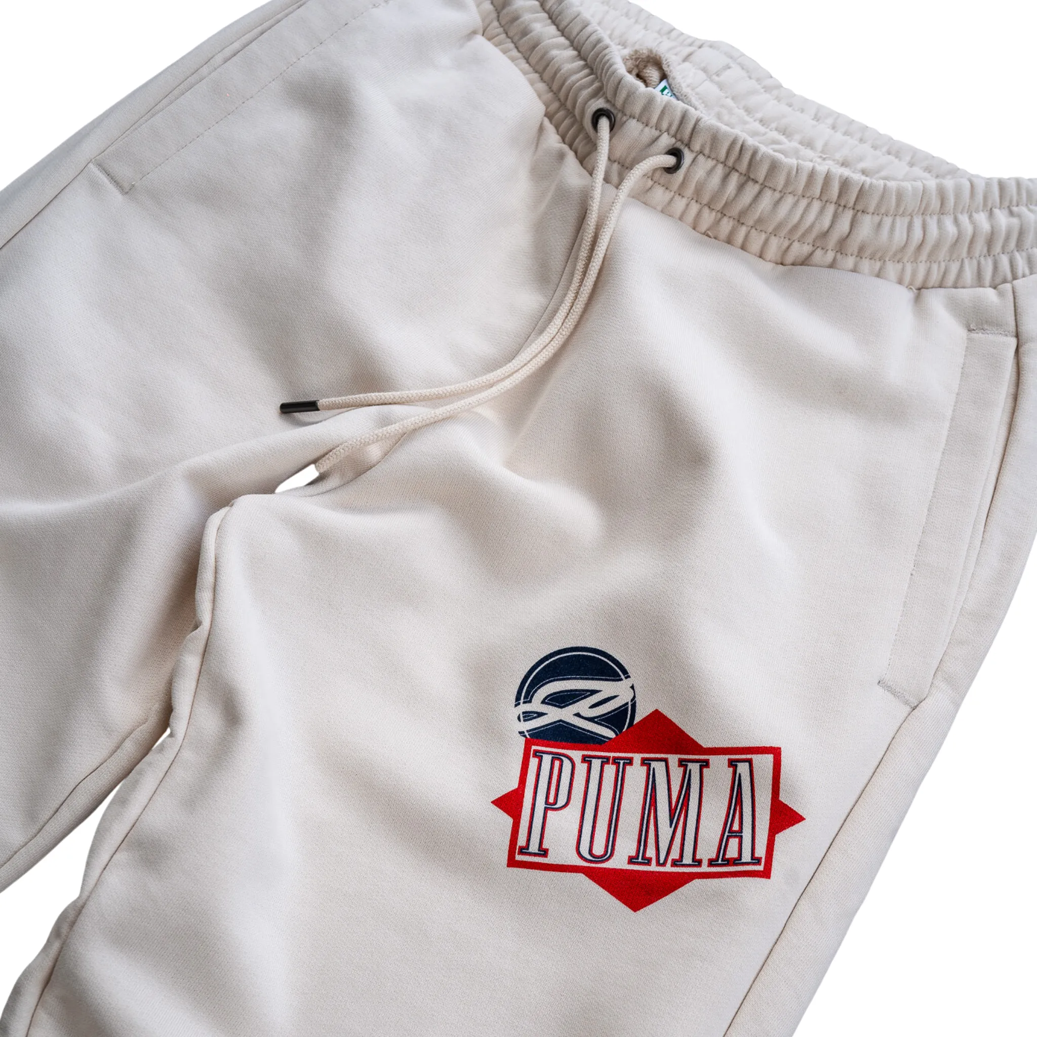 Puma Classics Graphic Sweatpants (Alpine Snow)